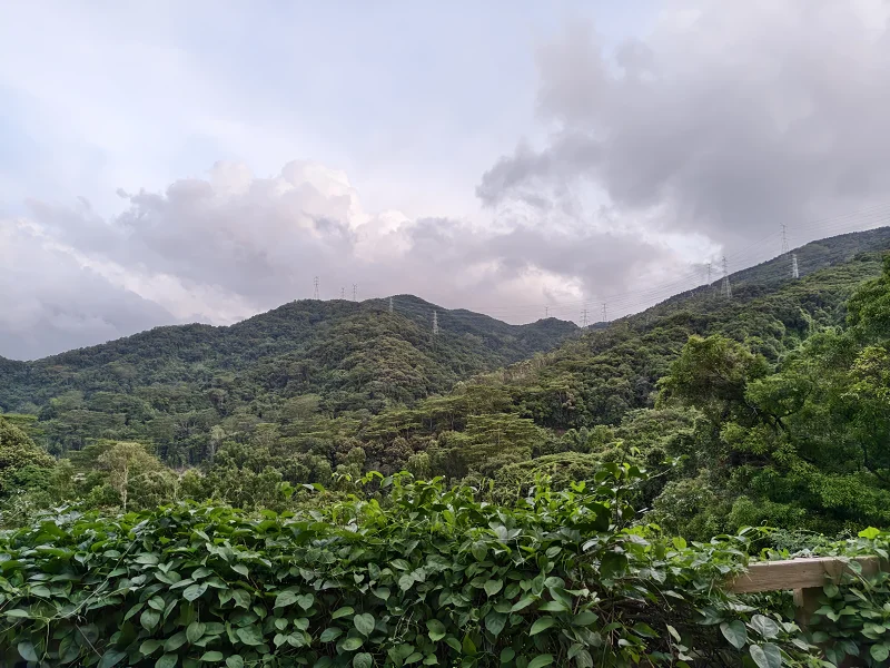 登山,阳台山,羊台叠翠