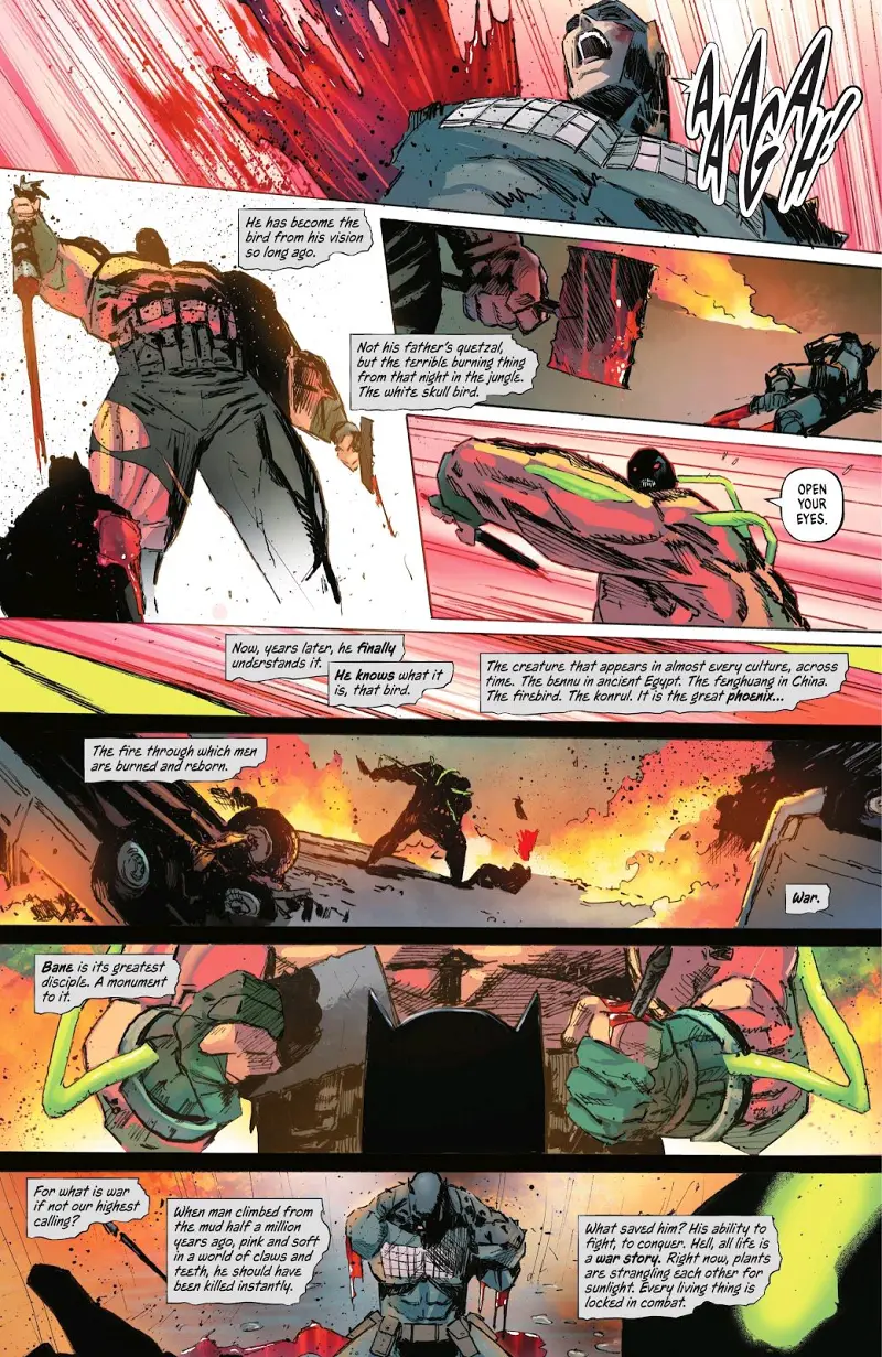 DC,DC漫画,美漫,超级英雄,漫画,绝对宇宙,绝对蝙蝠侠,蝙蝠侠,动漫,ACG
