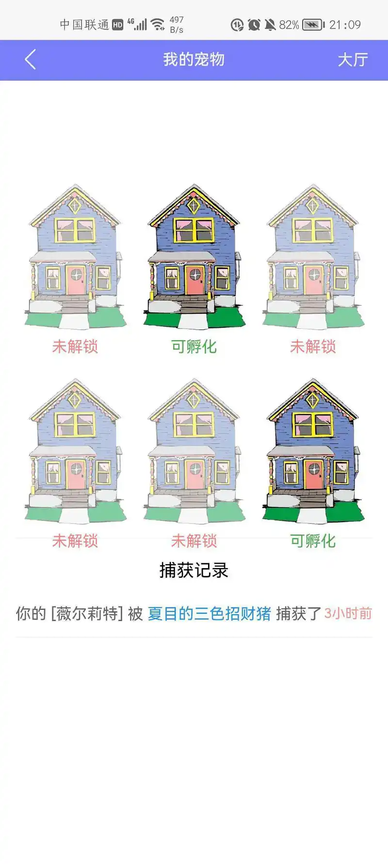 闲聊茶馆,宠物
