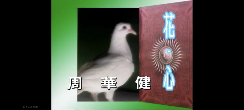 音乐,歌曲,歌手,最喜欢
