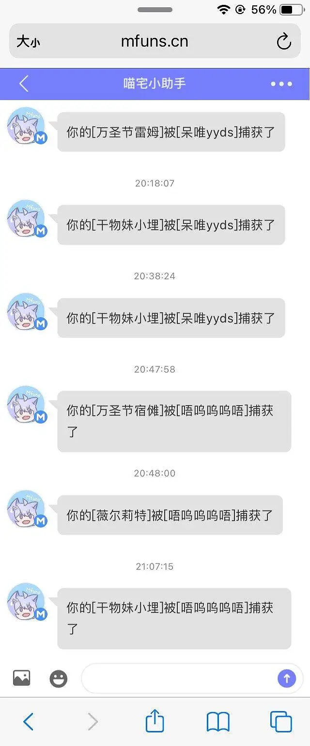 闲聊茶馆,宠物