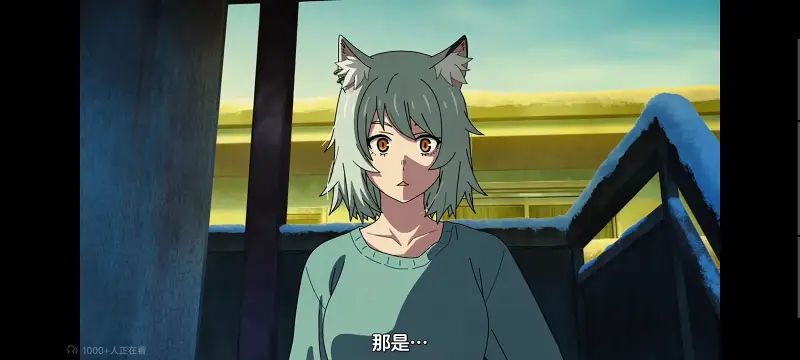 尼古喵喵,雅尼猫,动画,动漫,番剧,日漫,二次元,ACG