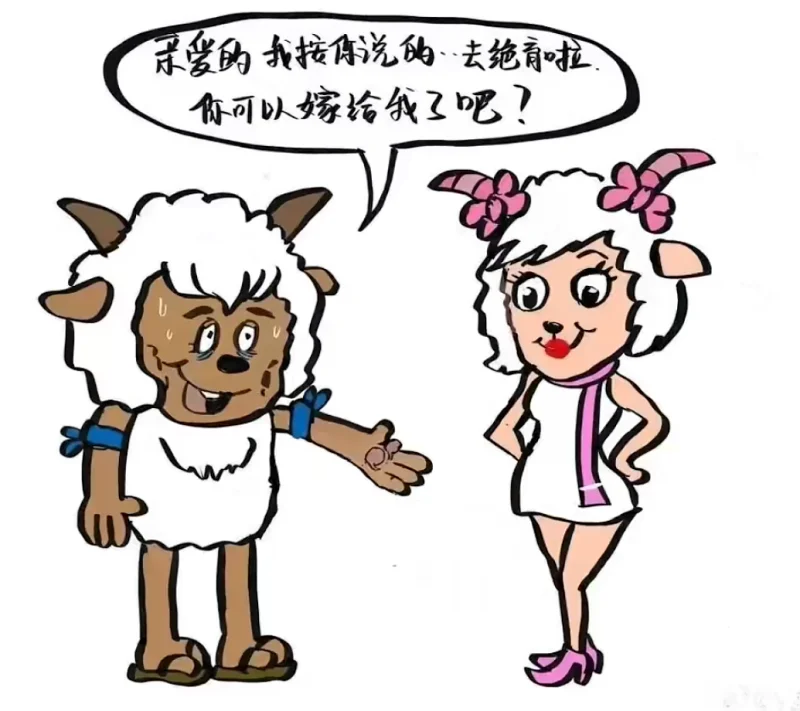 喜羊羊与沸羊羊