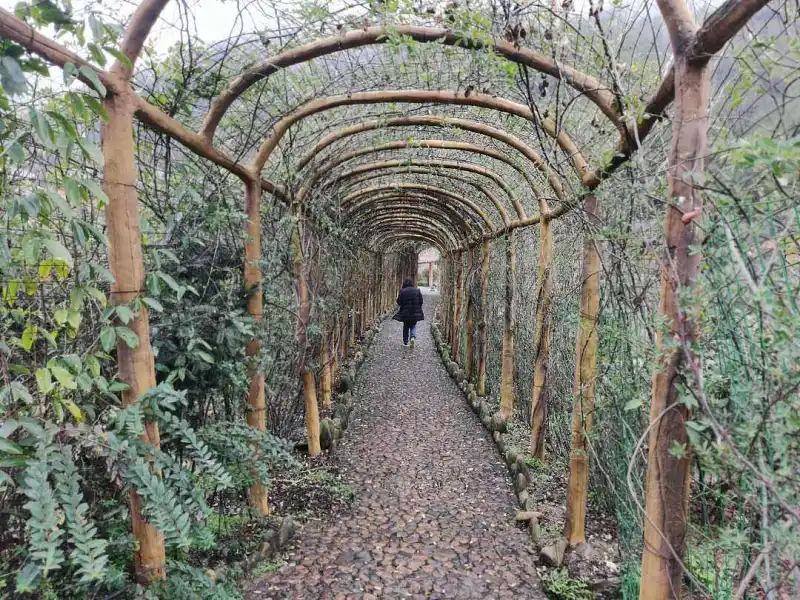 闲聊茶馆,郊野