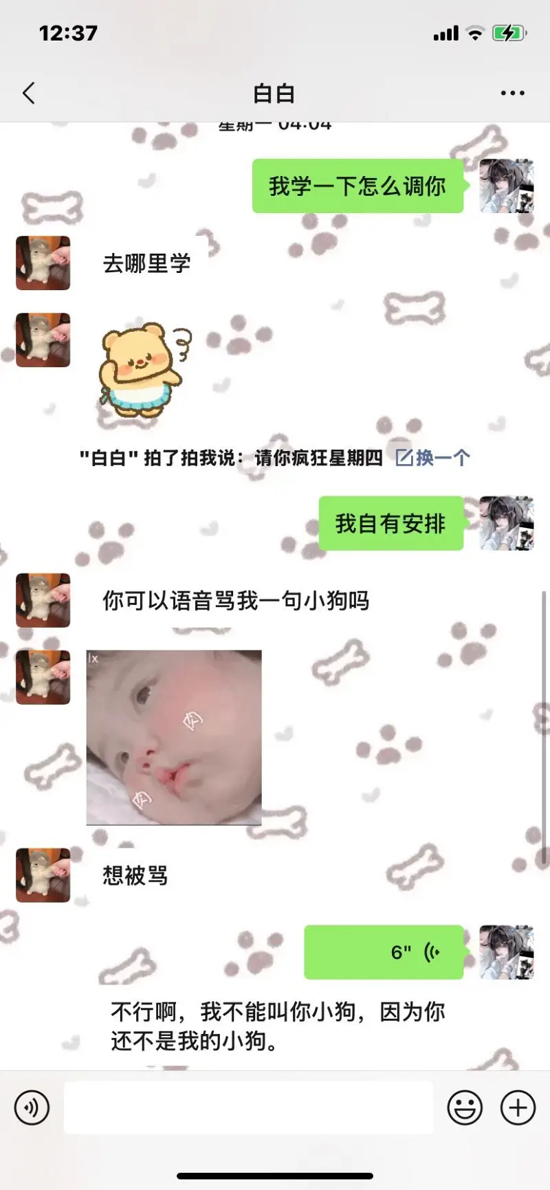 吃瓜