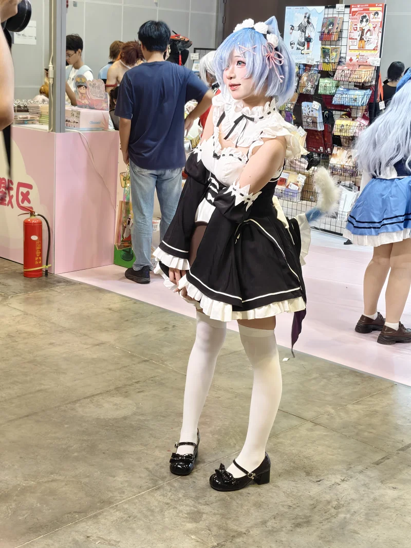 漫展,二次元,东方project,术力口,初音未来,镜音双子,特摄,奥特曼,Minecraft,痛车