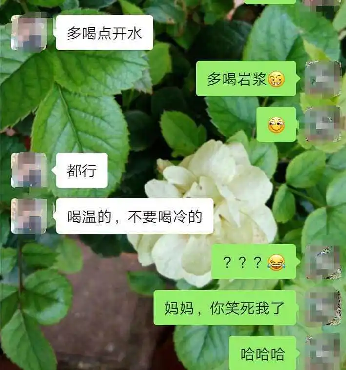 闲聊茶馆,生活