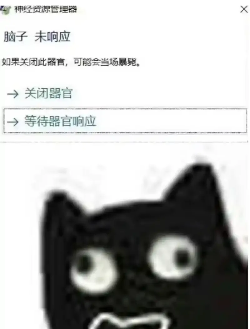 表情包,分享,疑惑,截图,有趣