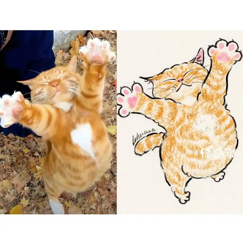 分享一些可爱的插画