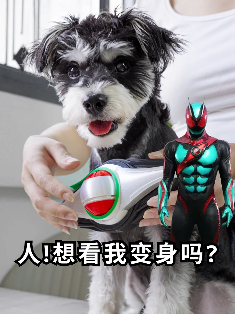 人!想看我变身假面骑士吗? 人!想看我变身假面骑士吗?