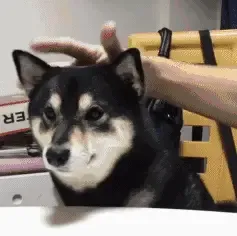 晚安贴！