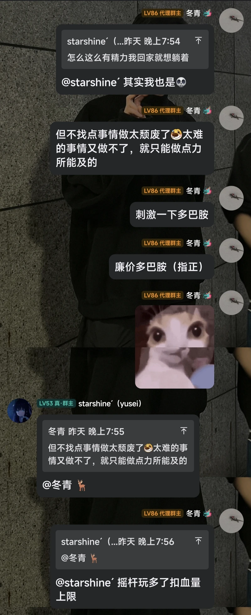 摇杆