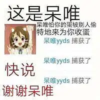 用户头像