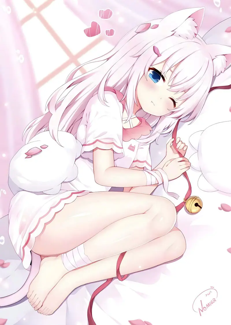 ╰(*°▽°*)╯