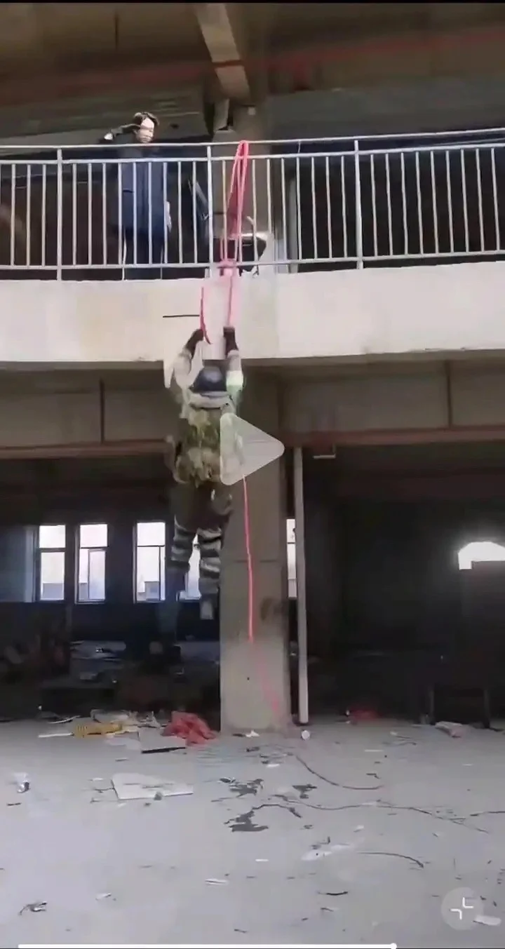 嘉豪