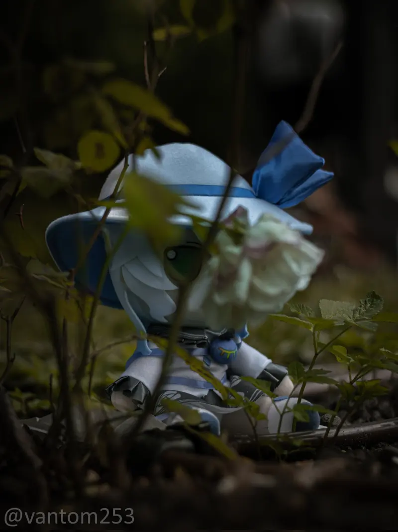 东方project,fumo