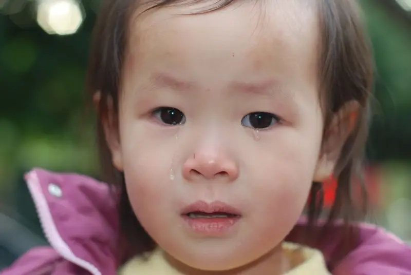 瑶瑶