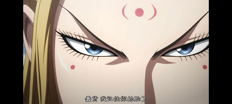 王者天下,动画,动漫,番剧,ACG