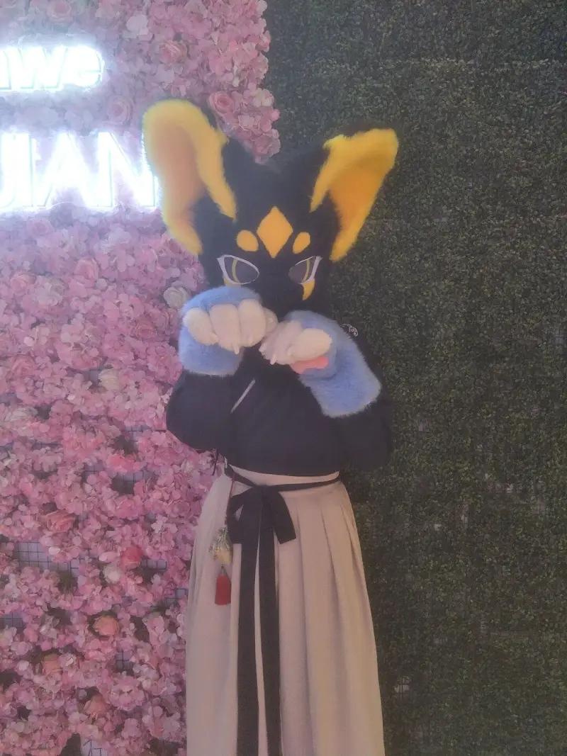 FURRY,福瑞,健康生活
