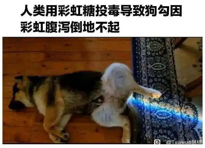 闲聊茶馆