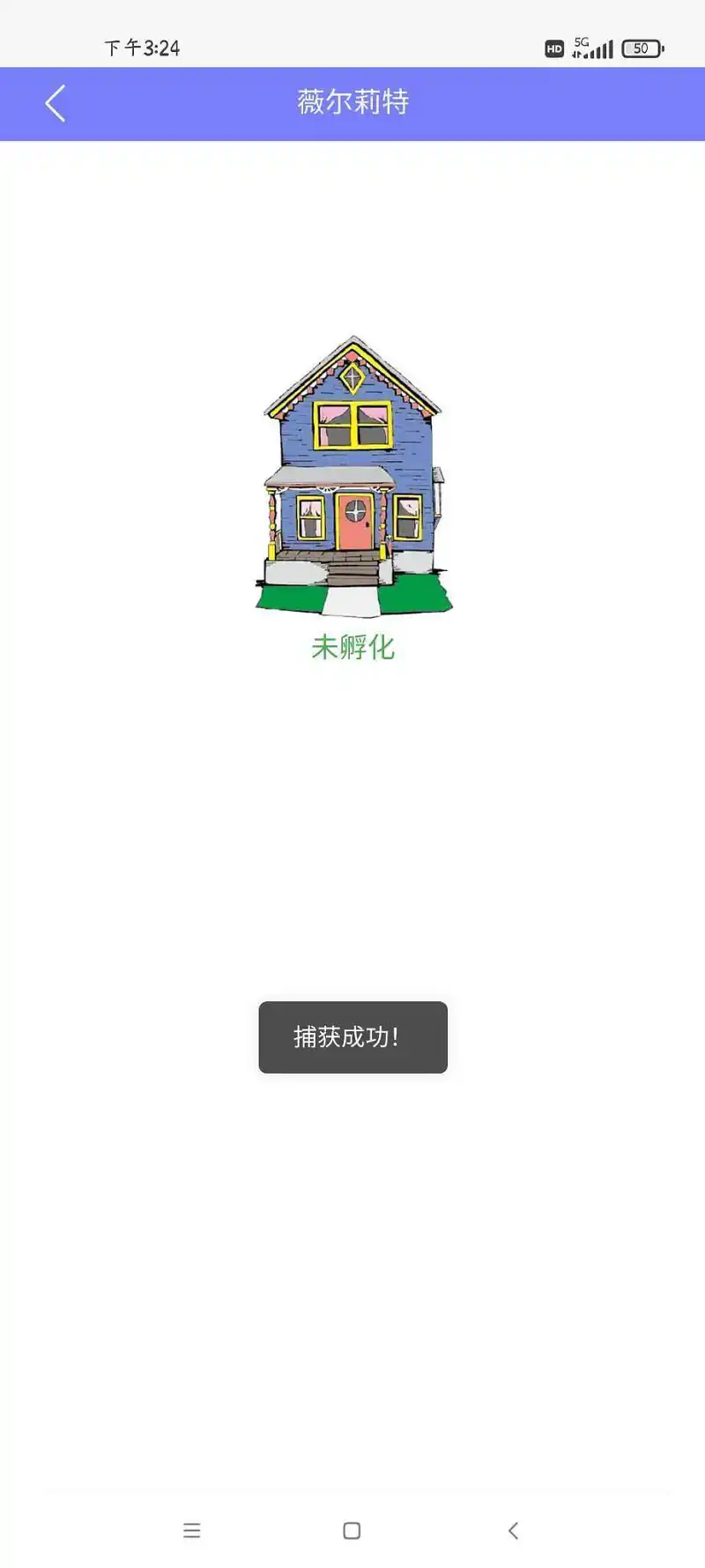 闲聊茶馆,宠物