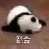 新人报道！