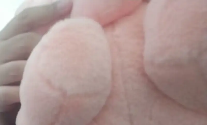喵酱的不定期更新～