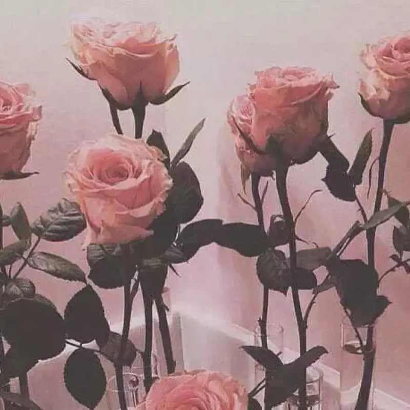 晚