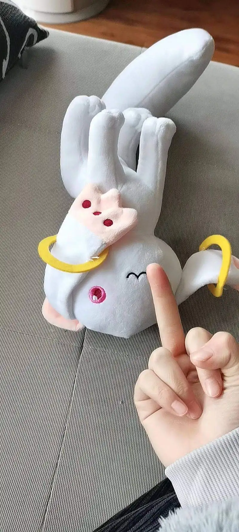 今晚吃啥
