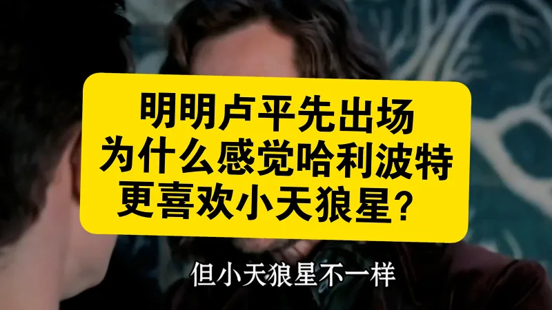 有人问,明明卢平先先出场,为什么感觉哈利更喜欢小天狼星? 有人问,明明卢平先先出场,为什么感觉哈利更喜欢小天狼星?