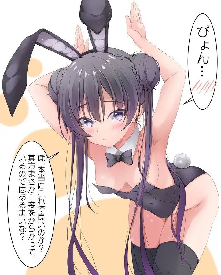 兔女郎,涩图