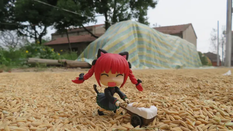 摄影