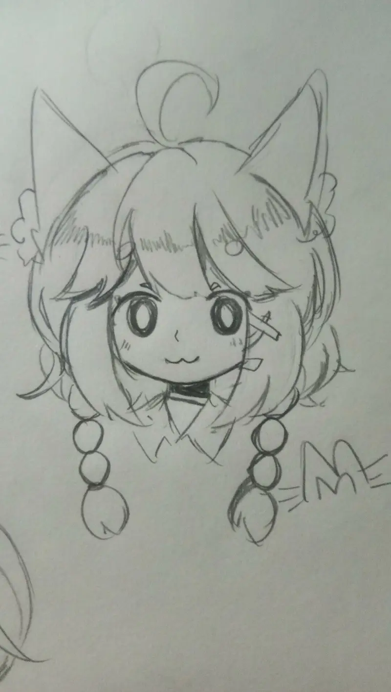 猫猫