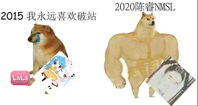 整挺好
