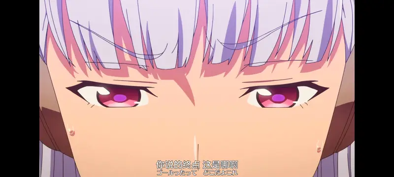 赛马娘,赛马娘PrettyDreby,动画,动漫,番剧,ACG