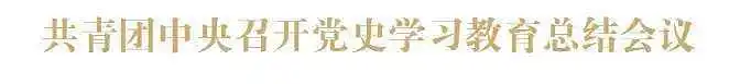 共青团中央召开党史学习教育总结会议