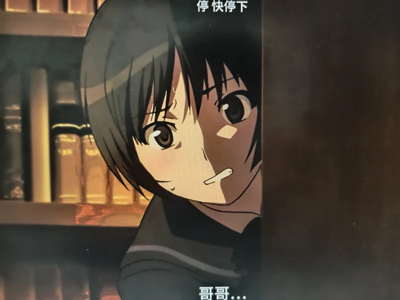 圣诞之吻第六集