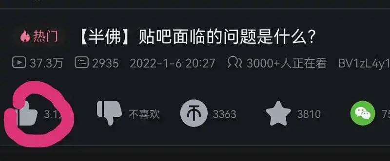 闲聊茶馆,睿站,不要脸,造假