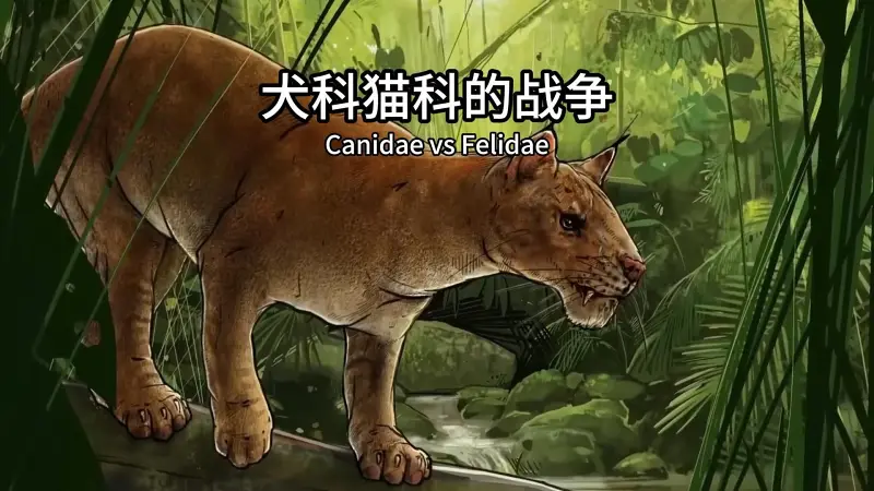 猫科和犬科打了一场两千万年的战争