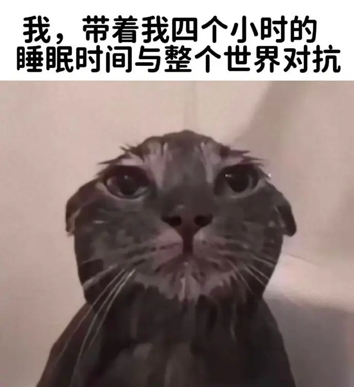 关于OC的短篇小漫画