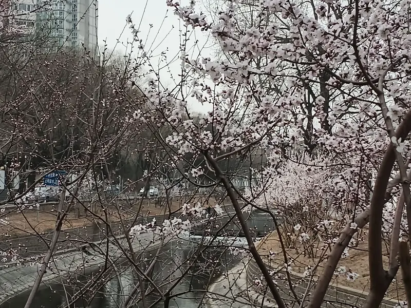 记录