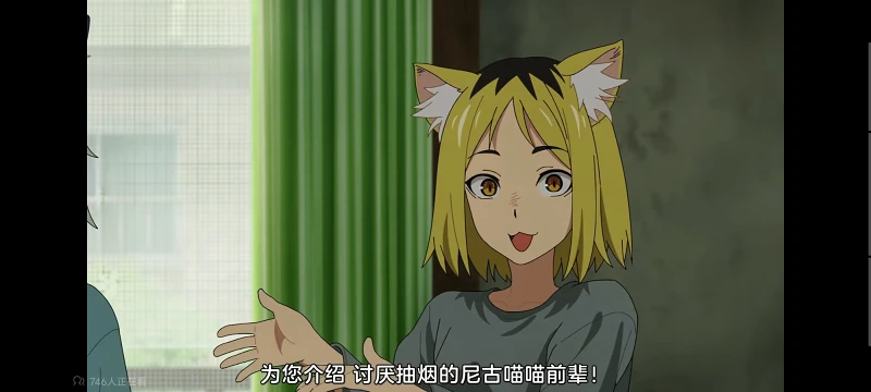 尼古喵喵,雅尼猫,动画,动漫,番剧,二次元,ACG,日漫