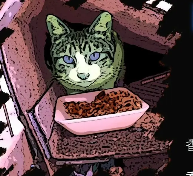 黑之契约者,猫,黑,银