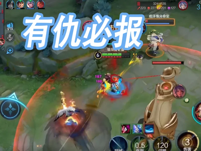 最记仇的小猫猫 奕星，知道我的厉害了吧。