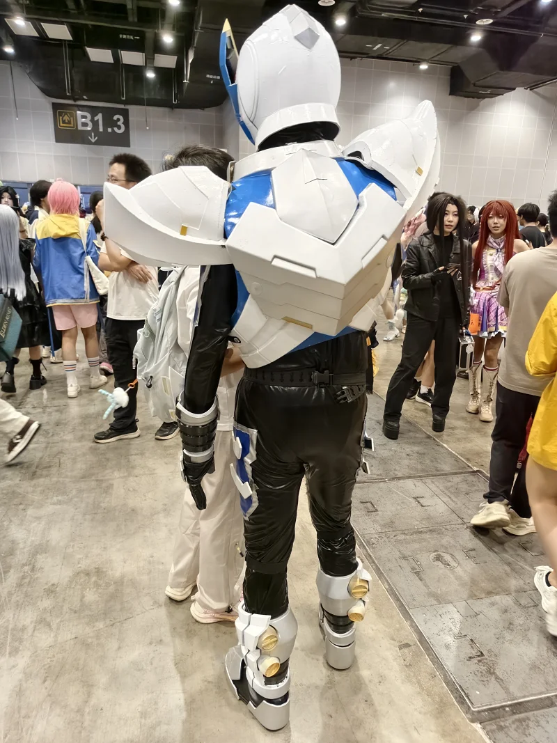 漫展,二次元,东方project,术力口,初音未来,镜音双子,特摄,奥特曼,Minecraft,痛车