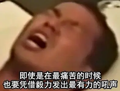 闲聊茶馆,野兽先辈,诗歌