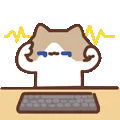 表情包,月薪喵,猫咪表情包,猫meme,哈基米