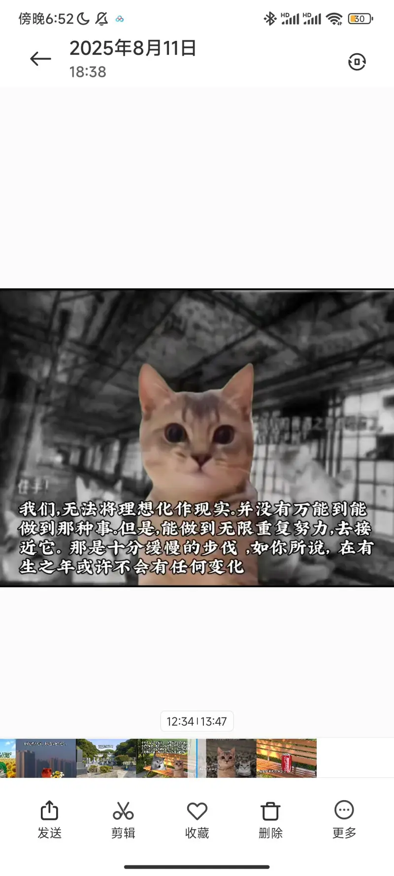 【东方】用猫meme的方式打开《东方无限螺旋》第二部的故事