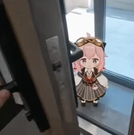 动图,GIF,meme