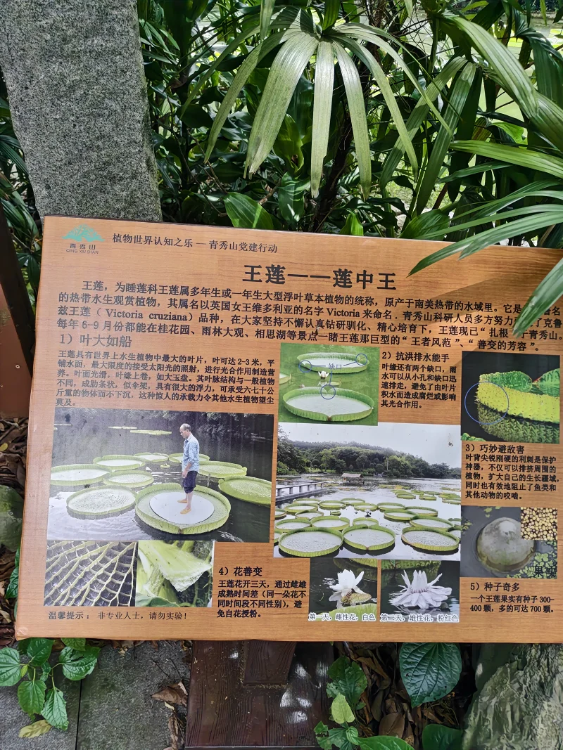 青秀山,三街两巷,特种兵般的旅游